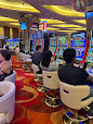 Majestic Pride Casino thumb 10